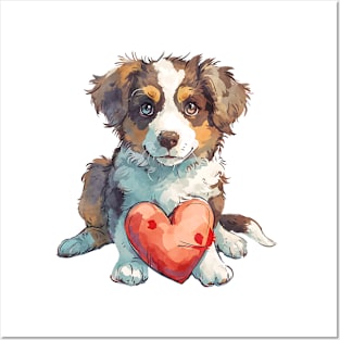 Valentine Australian Shepherd Holding Heart Posters and Art